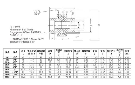 Acciaio inossidabile 304 316 316L 2000lb 3000lb 6000lb B16.11 Fittings forgiati
