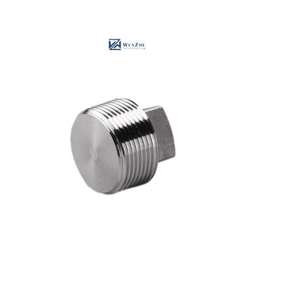 Acciaio inossidabile rivestito d'argento WZ 304 316 316L Fuso ad alta pressione NPT BSPT