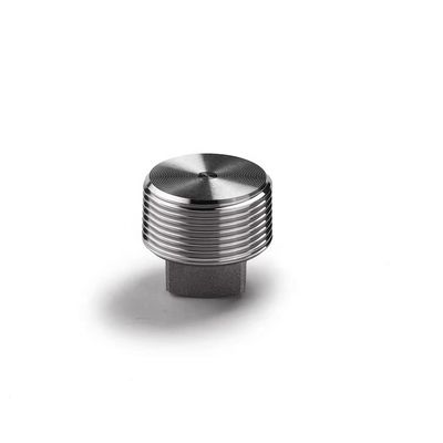 Acciaio inossidabile rivestito d'argento WZ 304 316 316L Fuso ad alta pressione NPT BSPT
