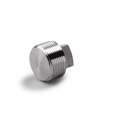 Acciaio inossidabile rivestito d'argento WZ 304 316 316L Fuso ad alta pressione NPT BSPT