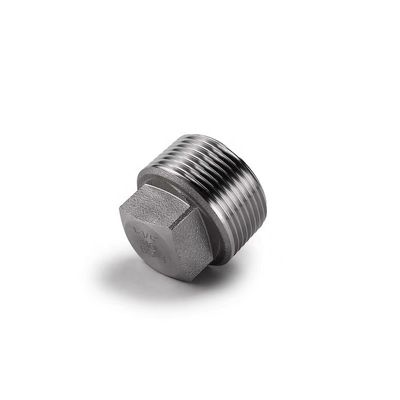 Acciaio inossidabile rivestito d'argento WZ 304 316 316L Fuso ad alta pressione NPT BSPT