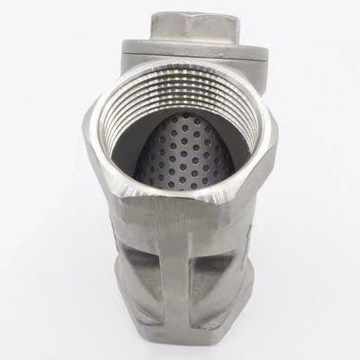 WZ SS316 304 filtro in acciaio inossidabile professionale tipo Y per filtro idrico per tubi uguali