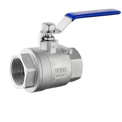 Connessione a filo in acciaio inox argento 201 304 316 Valvola a sfera femminile NPT BSP BSPT