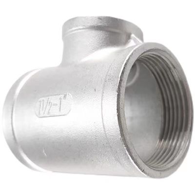 Acciaio inossidabile NPT BSP Reducing Internal Thread Pipe Accessories per 201 316 304
