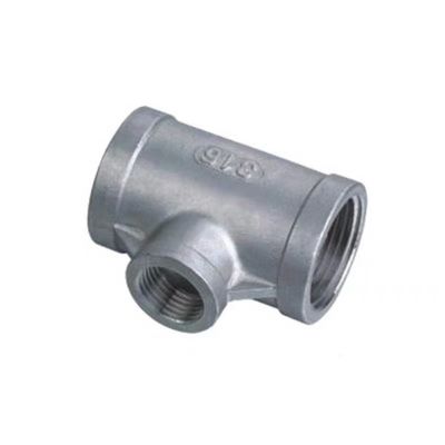 Acciaio inossidabile NPT BSP Reducing Internal Thread Pipe Accessories per 201 316 304