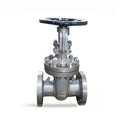 1''-8'' Flance End Stainless Steel 316 Manual Gate Valve con Servizi OEM personalizzati