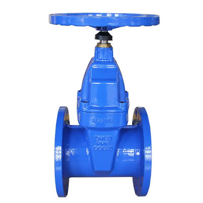 1''-8'' Flance End Stainless Steel 316 Manual Gate Valve con Servizi OEM personalizzati