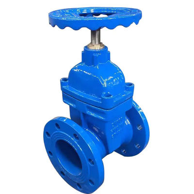1''-8'' Flance End Stainless Steel 316 Manual Gate Valve con Servizi OEM personalizzati