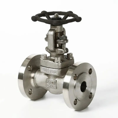 Valvola di porta manuale Flange in acciaio inossidabile Operazione manuale 1''-8'' per olio o acqua