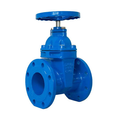 Valvola di porta manuale Flange in acciaio inossidabile Operazione manuale 1''-8'' per olio o acqua