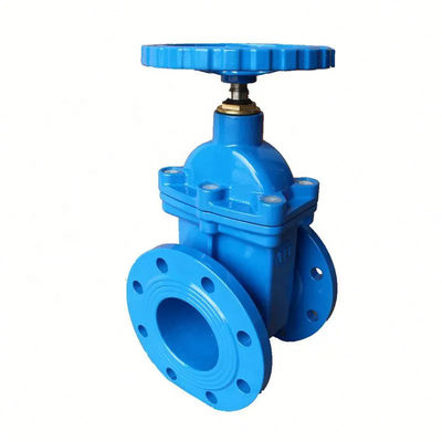 Valvola di accesso di metallo resistente in acciaio inossidabile 301/304/316 DIN
