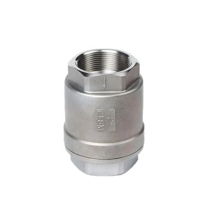 Valvola di controllo a molla verticale H12W-16P per porta di filo in acciaio inossidabile multi-dimensioni personalizzata