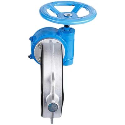 Valvola a farfalla in acciaio inossidabile 316 WZ