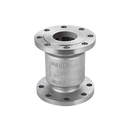 ANSI Valvola di controllo oscillante di acciaio inossidabile DN 250 mm Pn 16atm L 115 mm Standard