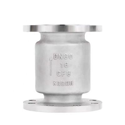 ANSI Valvola di controllo oscillante di acciaio inossidabile DN 250 mm Pn 16atm L 115 mm Standard