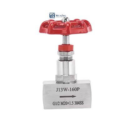 Valvola ad ago ad alta pressione 1/2" DN15 J13W-160P in acciaio inossidabile forgiato 304 316 316L