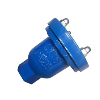 DN40 50 DI CI Valvola di rilascio automatico di scarico avvitato a ventole singole per industria