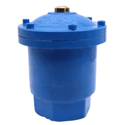 DN40 50 DI CI Valvola di rilascio automatico di scarico avvitato a ventole singole per industria