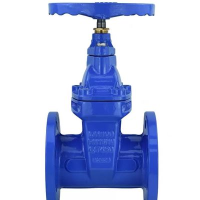 Codice della testa cilindrica Custom Casting Steel Manual Valve Ductile Iron Gate Valve