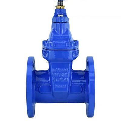 Codice della testa cilindrica Custom Casting Steel Manual Valve Ductile Iron Gate Valve