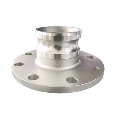 Congiunzione a cammella di tipo WZ SS 304 316 F versatile con chiusura a flange