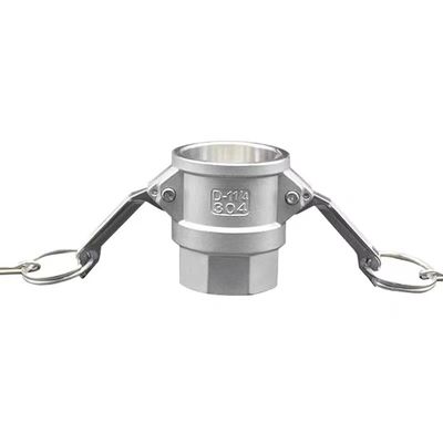Equal SS 304 316 Accoppiamento Camlock in acciaio inossidabile con connettore rapido di tipo D NPT BSPT BSP