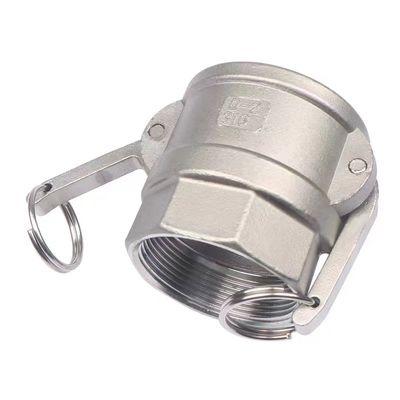 Equal SS 304 316 Accoppiamento Camlock in acciaio inossidabile con connettore rapido di tipo D NPT BSPT BSP
