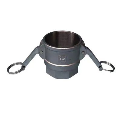 Equal SS 304 316 Accoppiamento Camlock in acciaio inossidabile con connettore rapido di tipo D NPT BSPT BSP