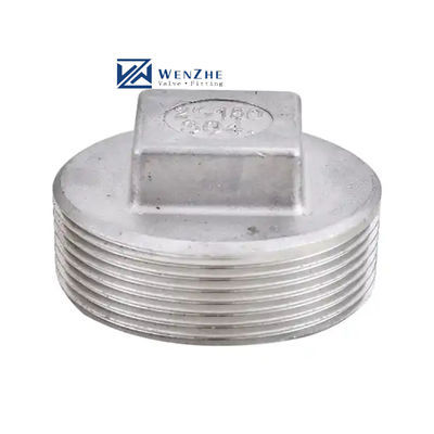 Acciaio inossidabile 304 201 Tubo fuso con testa quadrata con chiusura a striscio di classe 150 2' NPT Maschio a filo